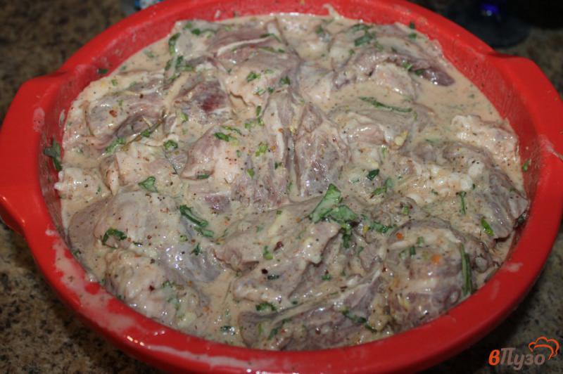 Фото приготовление рецепта: Шашлык из свинины с кинзой шаг №5