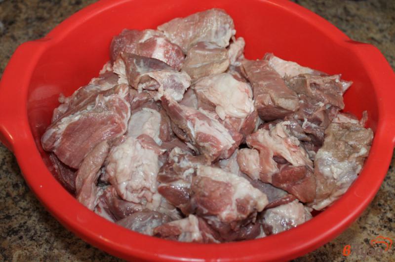 Фото приготовление рецепта: Шашлык из свинины с кинзой шаг №1