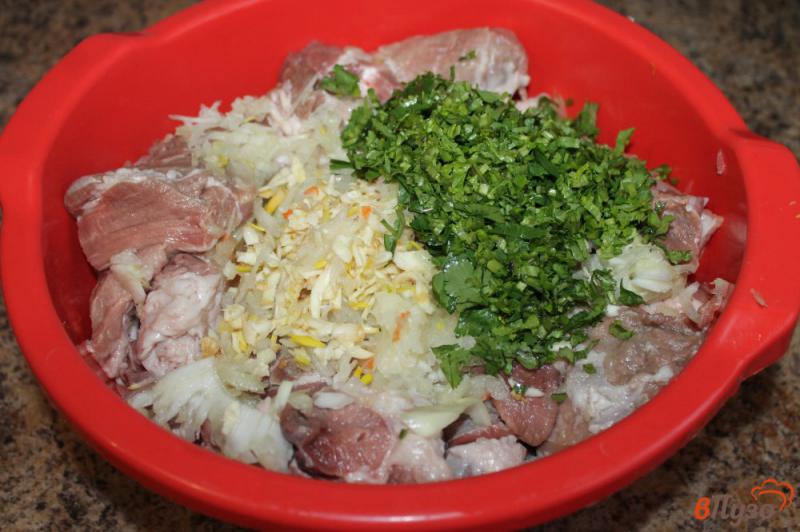 Фото приготовление рецепта: Шашлык из свинины с кинзой шаг №3