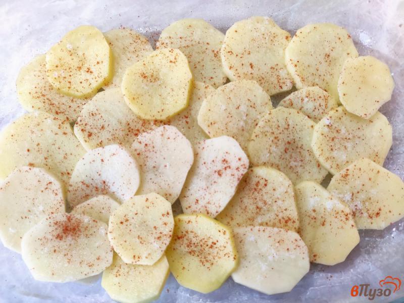 Фото приготовление рецепта: Запеканка из картофеля с пангасиусом шаг №3