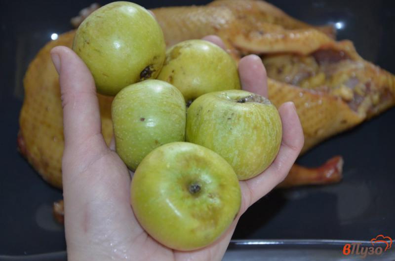 Фото приготовление рецепта: Утка запеченная с яблоками шаг №3