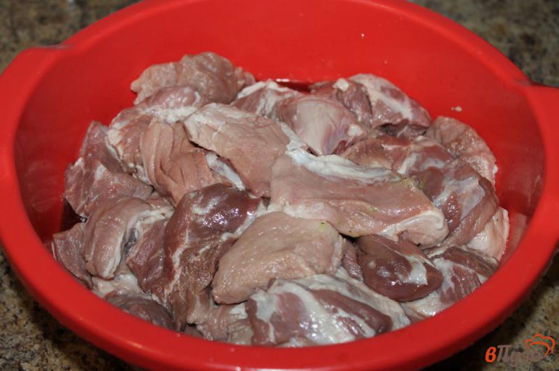 Фото приготовление рецепта: Шашлык из свинины в пивном маринаде шаг №1