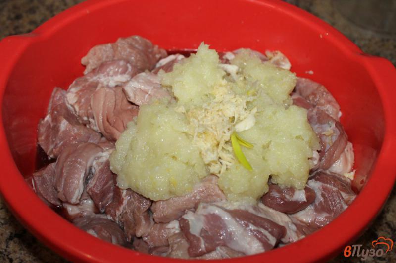 Фото приготовление рецепта: Шашлык из свинины в пивном маринаде шаг №3