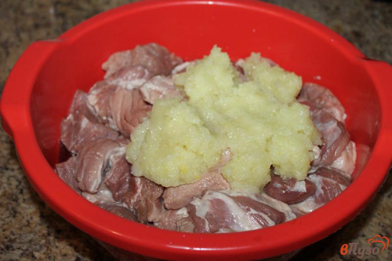 Фото приготовление рецепта: Шашлык из свинины в пивном маринаде шаг №2