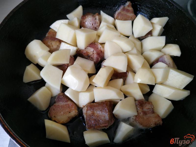 Фото приготовление рецепта: Жаркое из свинины и картофеля шаг №4