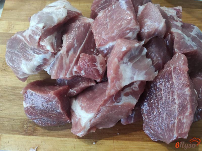 Фото приготовление рецепта: Шашлык из свинины в духовке шаг №1