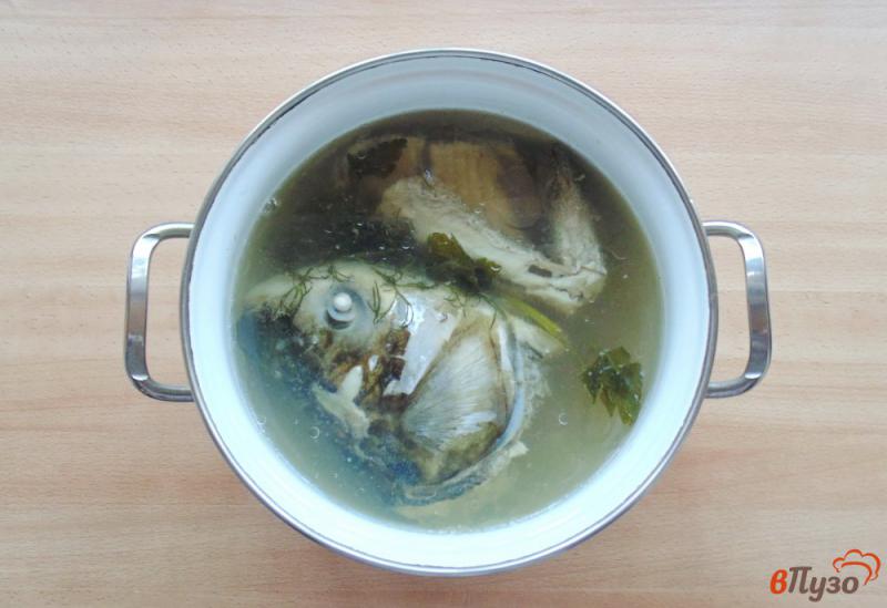 Фото приготовление рецепта: Суп из головы и хребта толстолобика шаг №3
