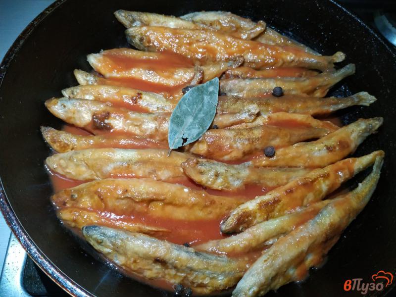 Фото приготовление рецепта: Корюшка в томатном соусе шаг №7