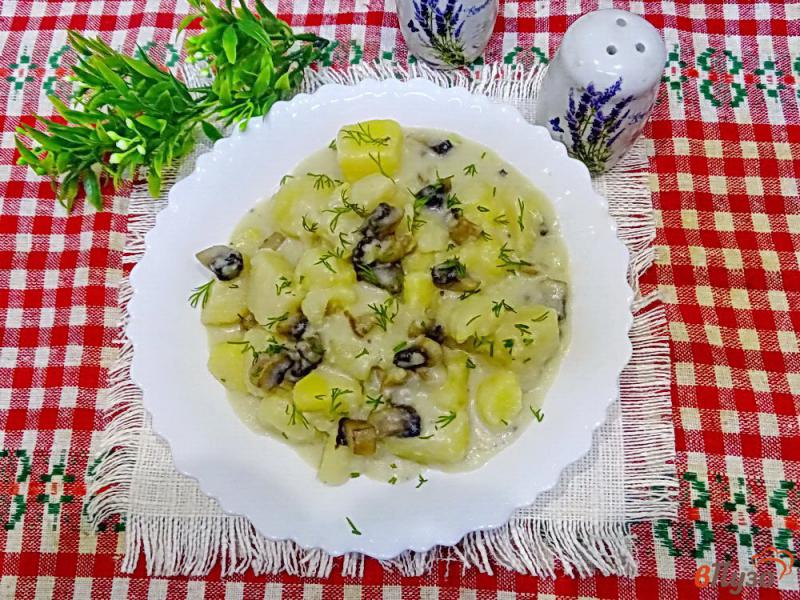 Фото приготовление рецепта: Картофель тушеный с грибами и со сметаной шаг №6
