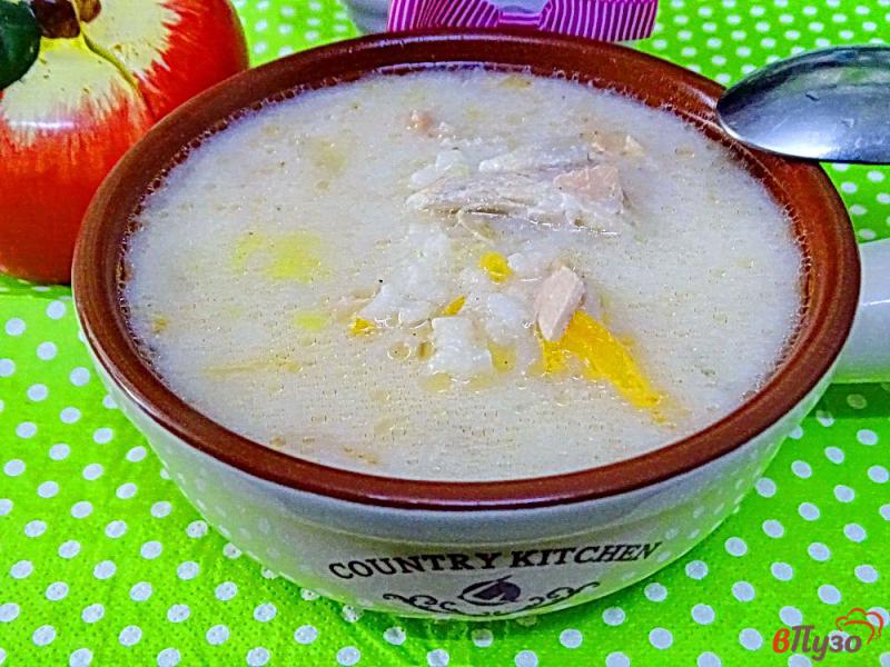 Фото приготовление рецепта: Суп из хребтов лосося с сыром и рисом шаг №10