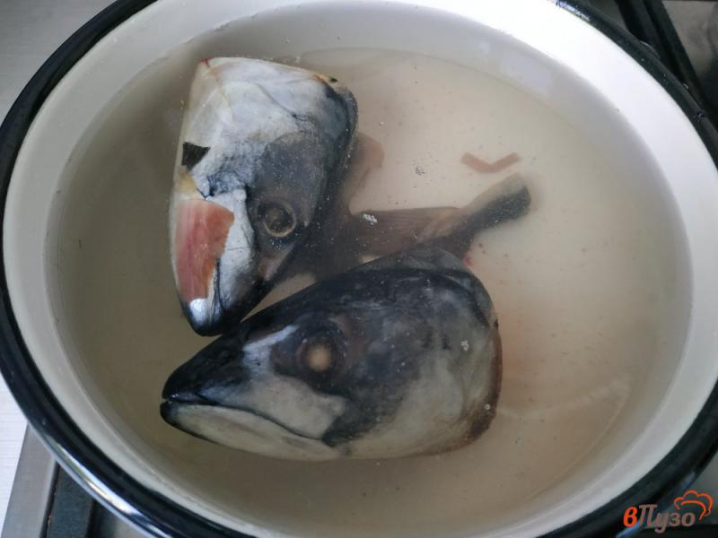 Фото приготовление рецепта: Рыбный суп из голов скумбрии шаг №1