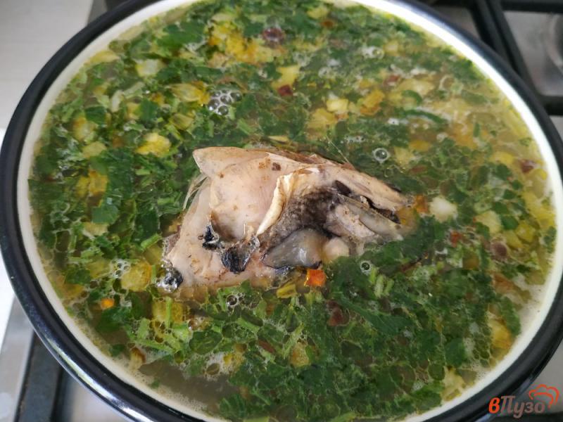 Фото приготовление рецепта: Рыбный суп из голов скумбрии шаг №9