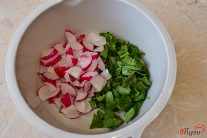 Фото приготовление рецепта: Салат с редисом огурцом и щавелем шаг №2