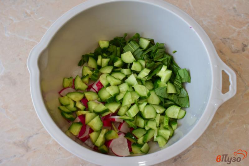 Фото приготовление рецепта: Салат с редисом огурцом и щавелем шаг №3