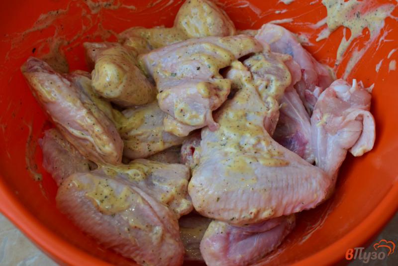 Фото приготовление рецепта: Куриные крылышки в майонезе с горчицей шаг №4
