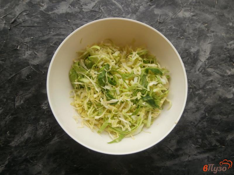 Фото приготовление рецепта: Салат из молодой капусты с помидорами и сыром шаг №1