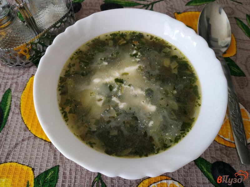 Фото приготовление рецепта: Суп со шпинатом и щавелем на курином бульоне шаг №7