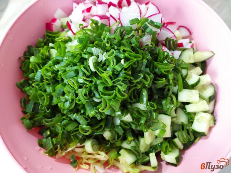 Фото приготовление рецепта: Овощной салат с оливковым маслом шаг №5
