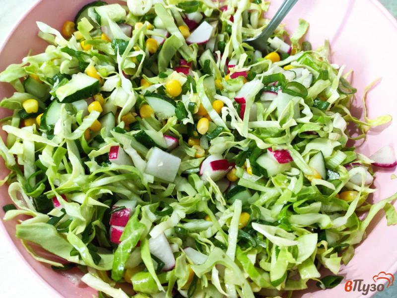 Фото приготовление рецепта: Овощной салат с оливковым маслом шаг №7
