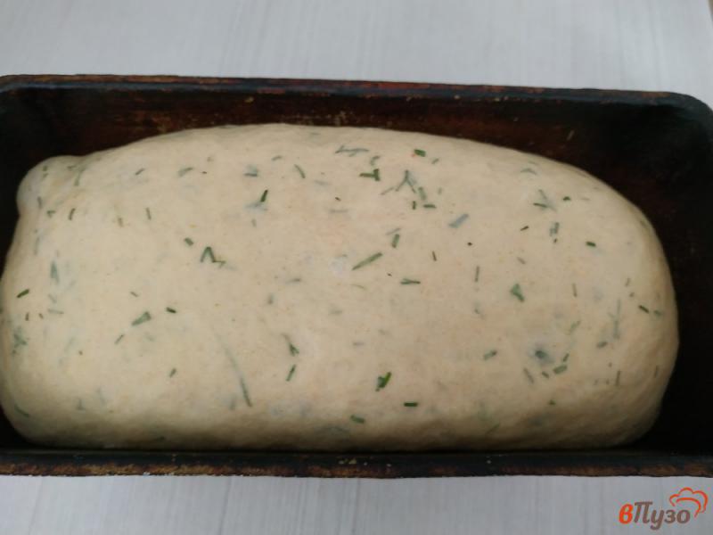 Фото приготовление рецепта: Формовой хлеб с паприкой и укропом шаг №8