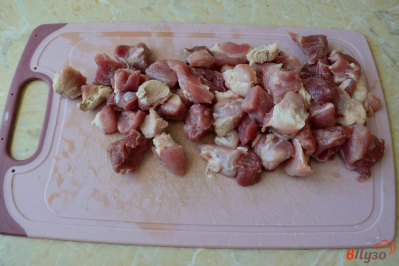 Фото приготовление рецепта: Мясная подлива с луком и помидорами шаг №1