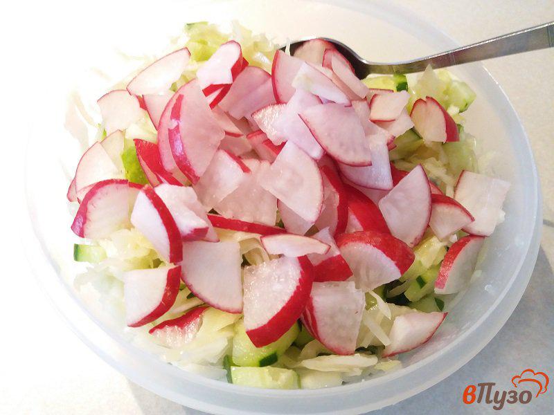 Фото приготовление рецепта: Салат овощной из капусты и редиски шаг №5