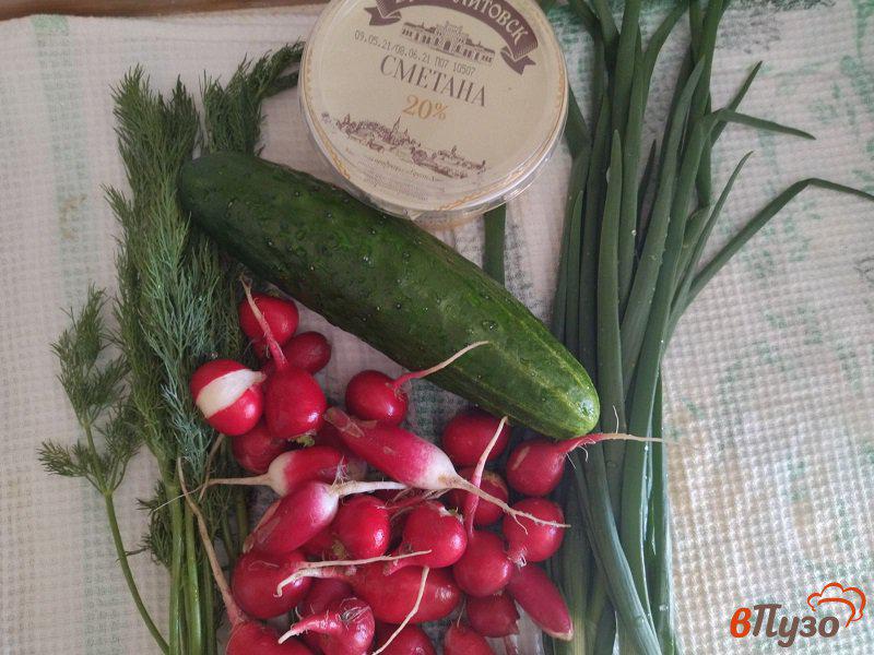 Фото приготовление рецепта: Салат из редиски с зеленью шаг №1