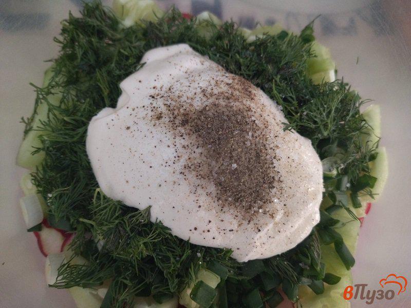 Фото приготовление рецепта: Салат из редиски с зеленью шаг №6