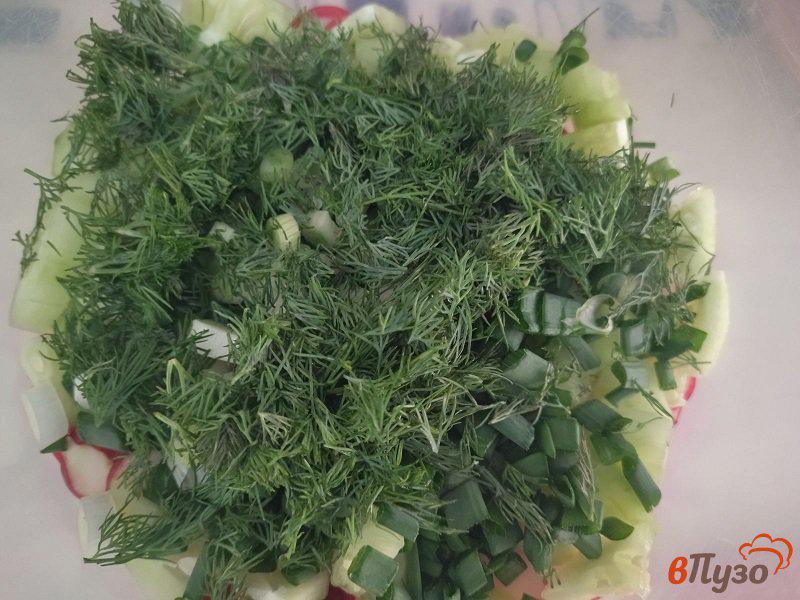 Фото приготовление рецепта: Салат из редиски с зеленью шаг №5