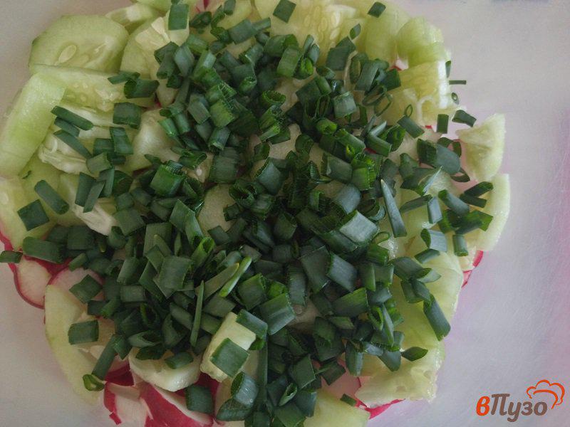 Фото приготовление рецепта: Салат из редиски с зеленью шаг №4