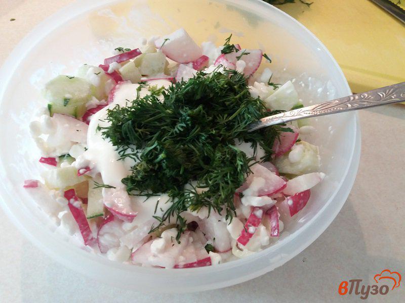 Фото приготовление рецепта: Салат из редиски с творогом шаг №4