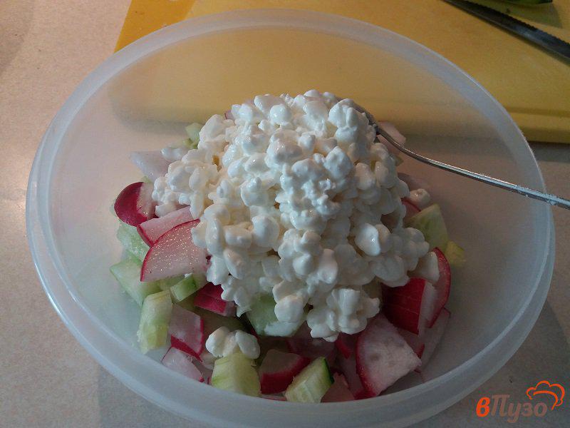 Фото приготовление рецепта: Салат из редиски с творогом шаг №3
