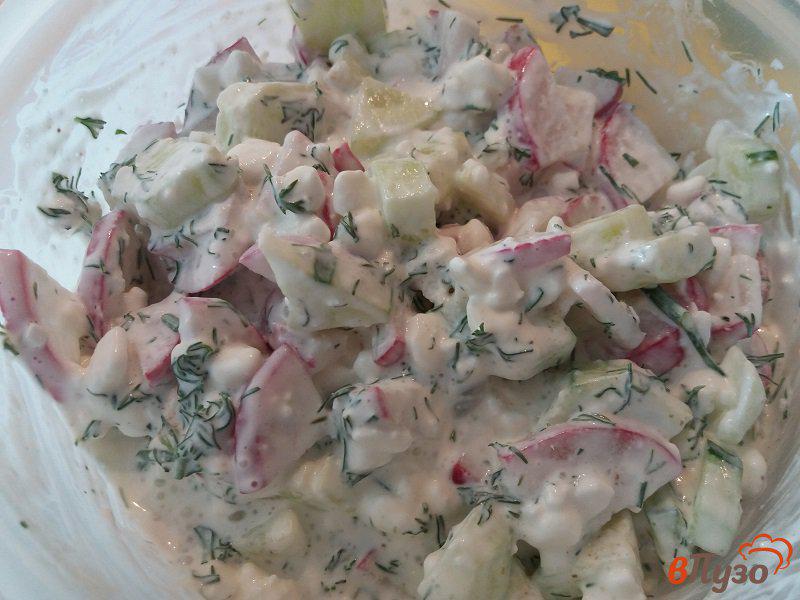 Фото приготовление рецепта: Салат из редиски с творогом шаг №6