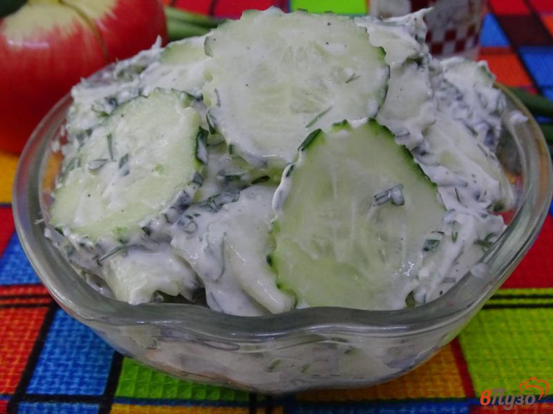 Фото приготовление рецепта: Польский салат из огурцов Мизерия шаг №6