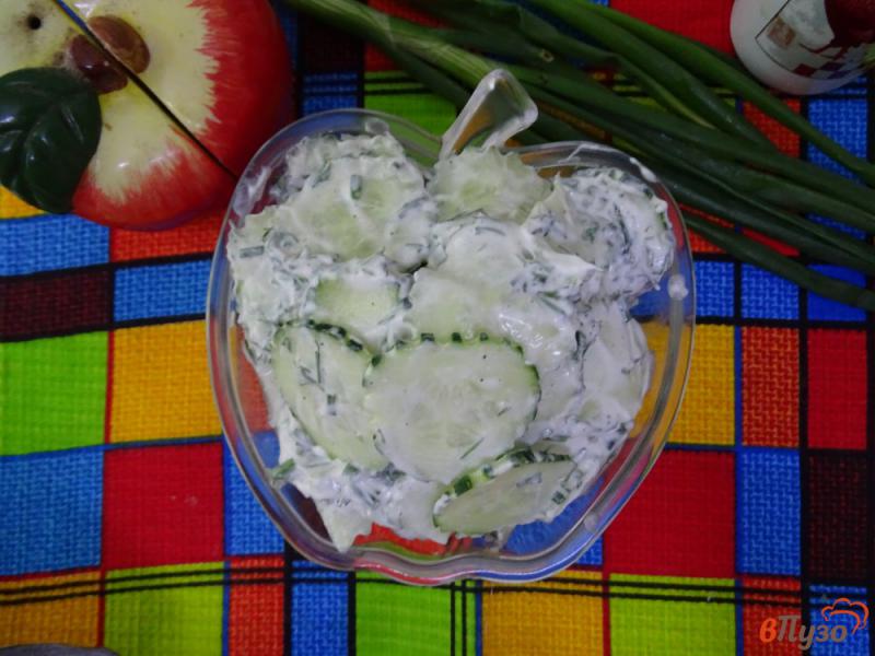 Фото приготовление рецепта: Польский салат из огурцов Мизерия шаг №7