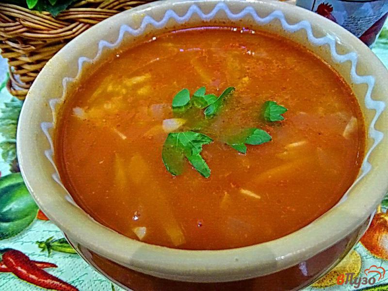 Фото приготовление рецепта: Суп с фасолью рисом и томатом шаг №8