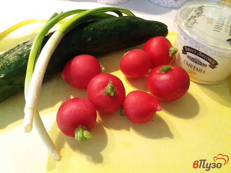 Фото приготовление рецепта: Весенний салат из редиски и свежих огурцов шаг №1