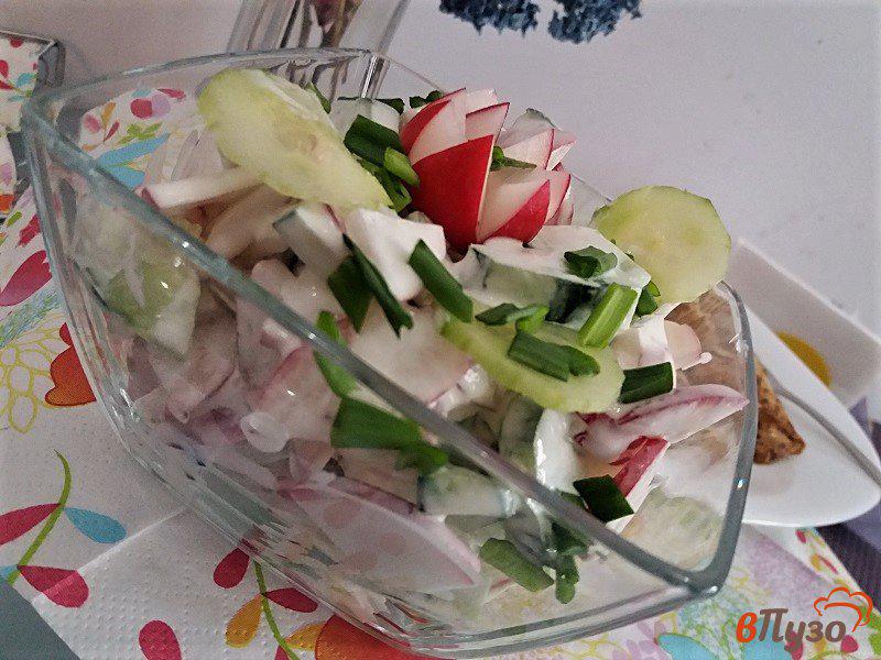 Фото приготовление рецепта: Весенний салат из редиски и свежих огурцов шаг №7