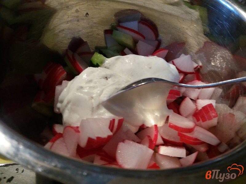 Фото приготовление рецепта: Весенний салат из редиски и свежих огурцов шаг №5