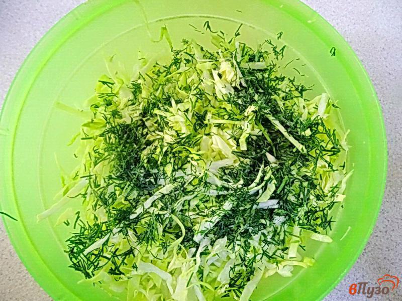 Фото приготовление рецепта: Салат из молодой капусты помидоров и огурцов шаг №4