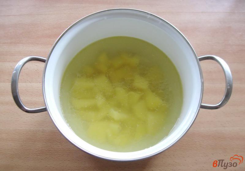 Фото приготовление рецепта: Суп с тефтелями и щавелем шаг №1