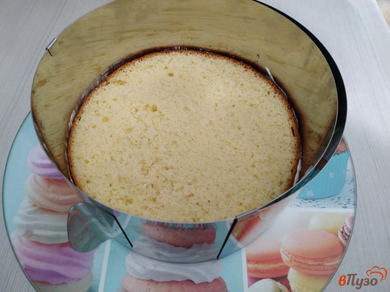 Фото приготовление рецепта: Бисквитный торт с киви шаг №16