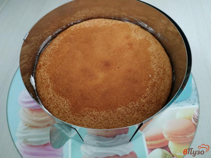 Фото приготовление рецепта: Бисквитный торт с киви шаг №18