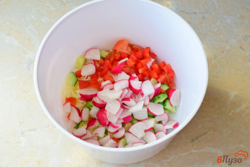 Фото приготовление рецепта: Салат с овощами и зеленью без майонеза шаг №3