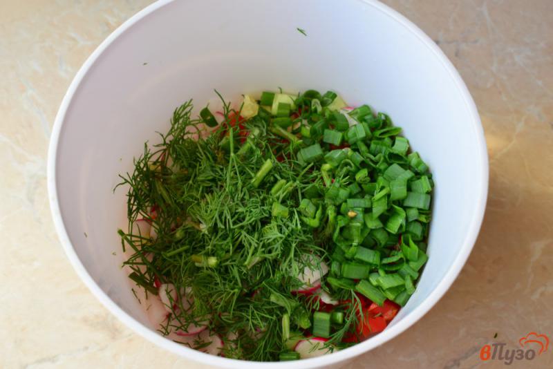 Фото приготовление рецепта: Салат с овощами и зеленью без майонеза шаг №4