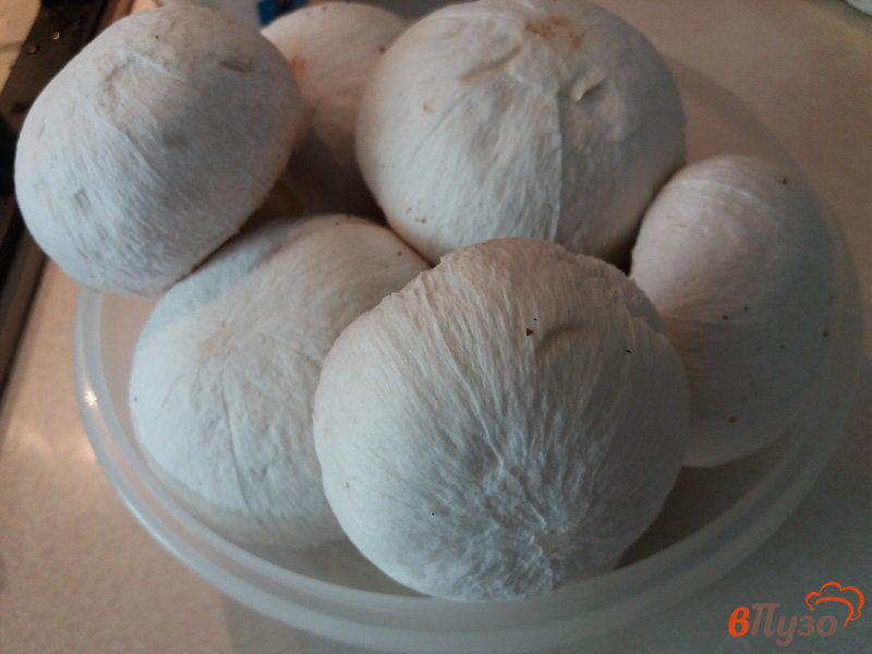 Фото приготовление рецепта: Пирожки из лаваша с курицей и грибами шаг №1