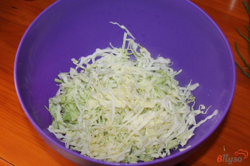 Фото приготовление рецепта: Салат из капусты и редиса шаг №1