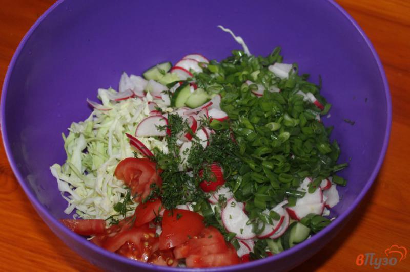 Фото приготовление рецепта: Салат из капусты и редиса шаг №3