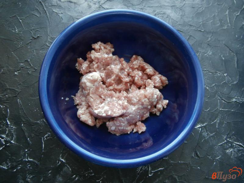 Фото приготовление рецепта: Свиные фрикадельки с капустой в томатном соусе шаг №1