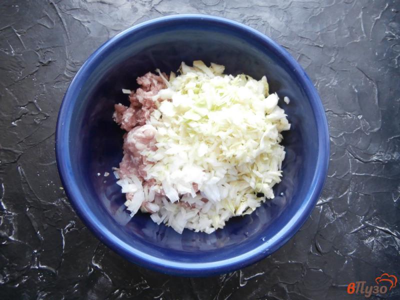 Фото приготовление рецепта: Свиные фрикадельки с капустой в томатном соусе шаг №2